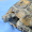 Blog_2
