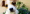 Blog_3