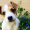 Blog_3